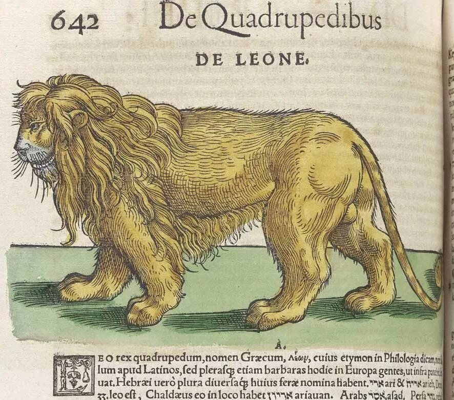 Труд история животных. Лестница жизни биология аристотель. Аристотель основные труды. Труд история животных. История становления и развития науки зоология.