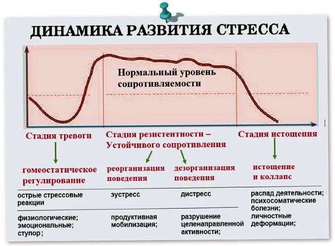 Анализ крови на стресс