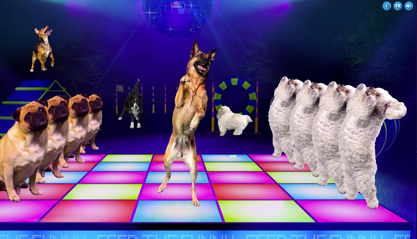 Танцующие собачки. Group of pets. Собака пляшет. Балетный собакой. Собака балерина.