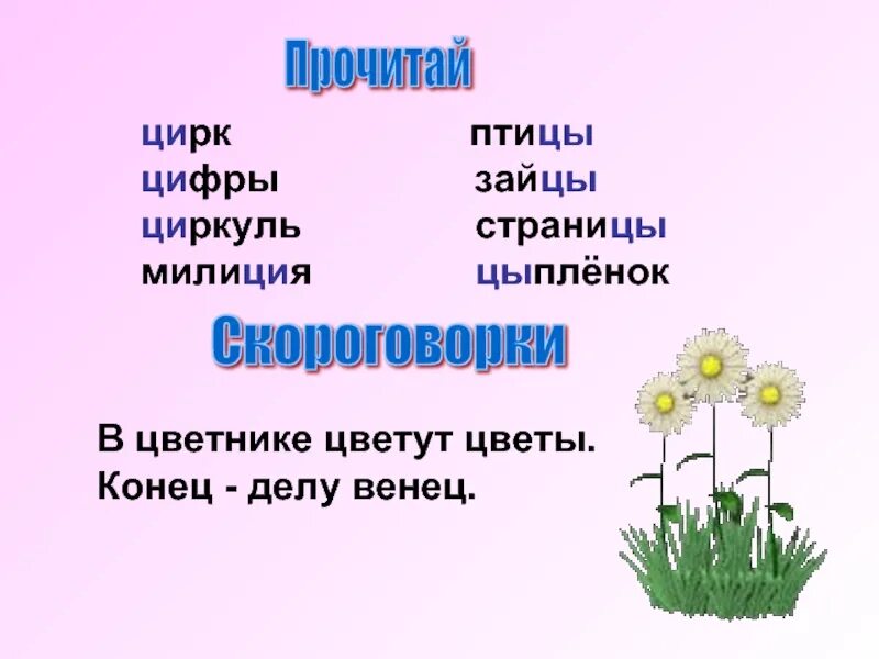 Пять слов на ц. Предложения с буквой ц. чтение слов с буквой ц. предложения с буквой ц для 1 класса. чтение слов с буквой ц для дошкольников.
