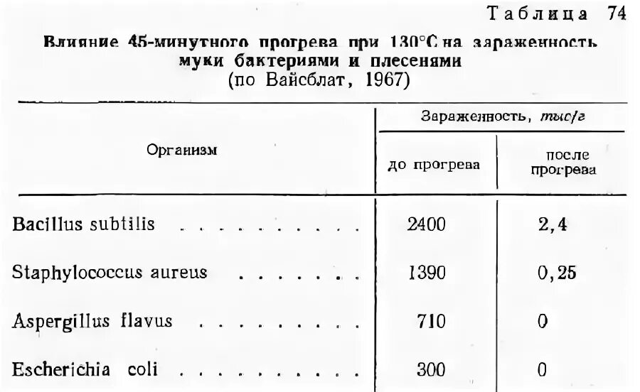 Бактерии микрофлоры. Микрофлора муки. Бактерии микрофлоры. Микрофлора муки. Микрофлора муки.