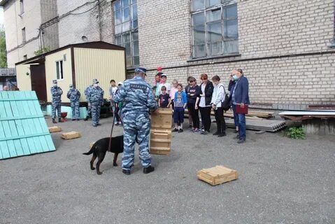 Сколько лет кинологической службе в 2024