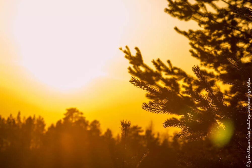 1 февраля солнце. 1 февраля солнце. серебряный пруд зимой спб. 1 февраля солнце. солнечный день в якутске.