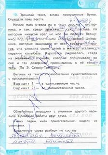 Тренажер по окружающему 3 класс