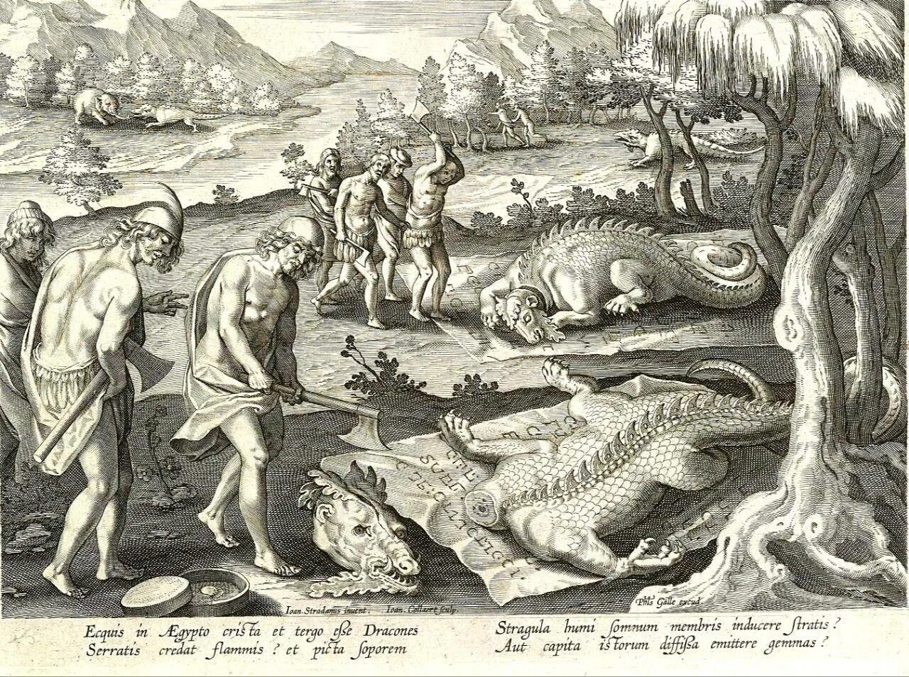 баба-яга дерется с крокодилом лубок. крокодилы на руси. крокодилы на руси. ян колларт охота на крокодилов. ксилография крокодил.