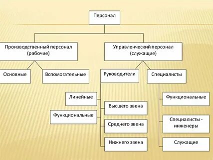Заместитель директора к какой категории относится
