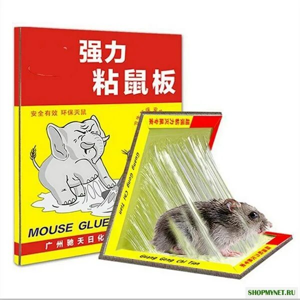 Клей для крыс купить. Mouse Glue клеевая ЛОВУШКА. Липучка для мышей ЛОВУШКА для грызунов липкая. Липкая лента от мышей и крыс. Липучка для мышей ЛОВУШКА для грызунов.