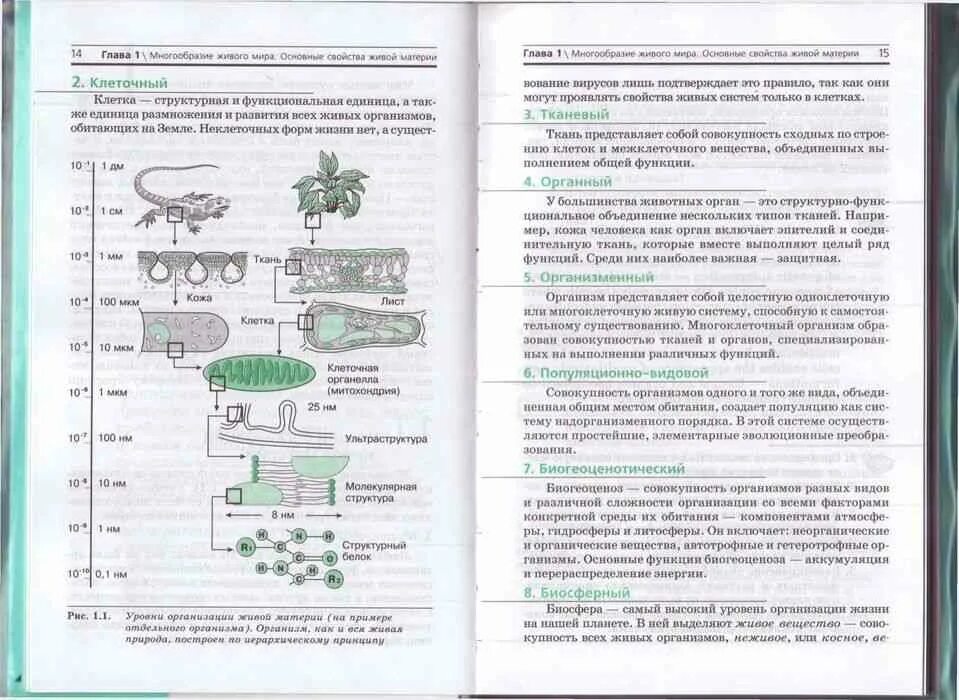 Рдр по биологии 10 класс. Учебник по биологии 10 класс повышенный уровень профильный. Биология 10 класс. Биология 10 класс учебник. Биология 10 класс профильный.