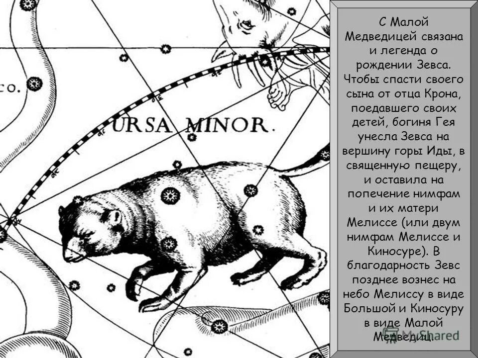 рассказ о малой медведице и полярной звезде. малая медведица созвездие 5 класс. сказка о малой медведице и полярной звезде. созвездия малая медведица 2 класс окружающий мир. рисунок большой медведицы.