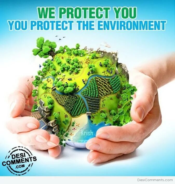 Sharing the environment. Protect the environment. protecting the environment. to protect the environment. importance of protecting the environment.