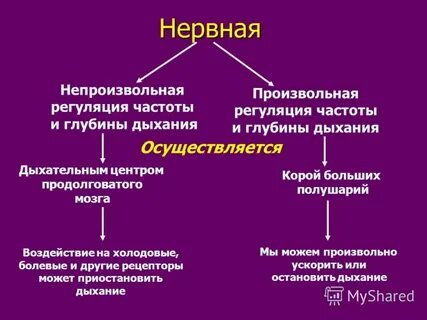 Ключевая роль в регуляции частоты