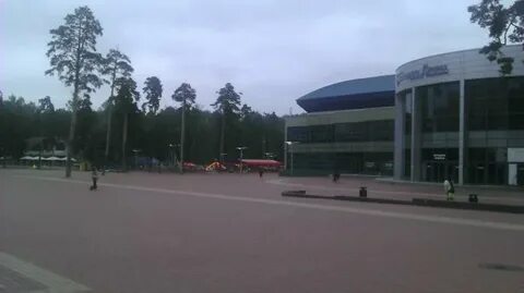 12 месяцев балашиха ледовый дворец