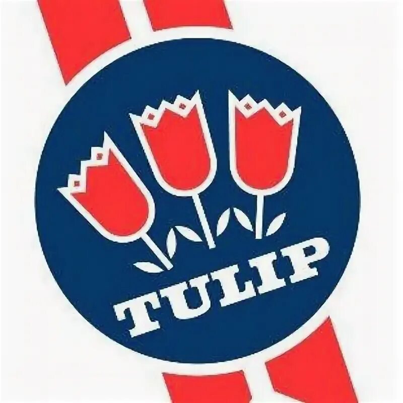 Сайт tulip. Тюльпан логотип. illva saronno лого. tulip продукты.