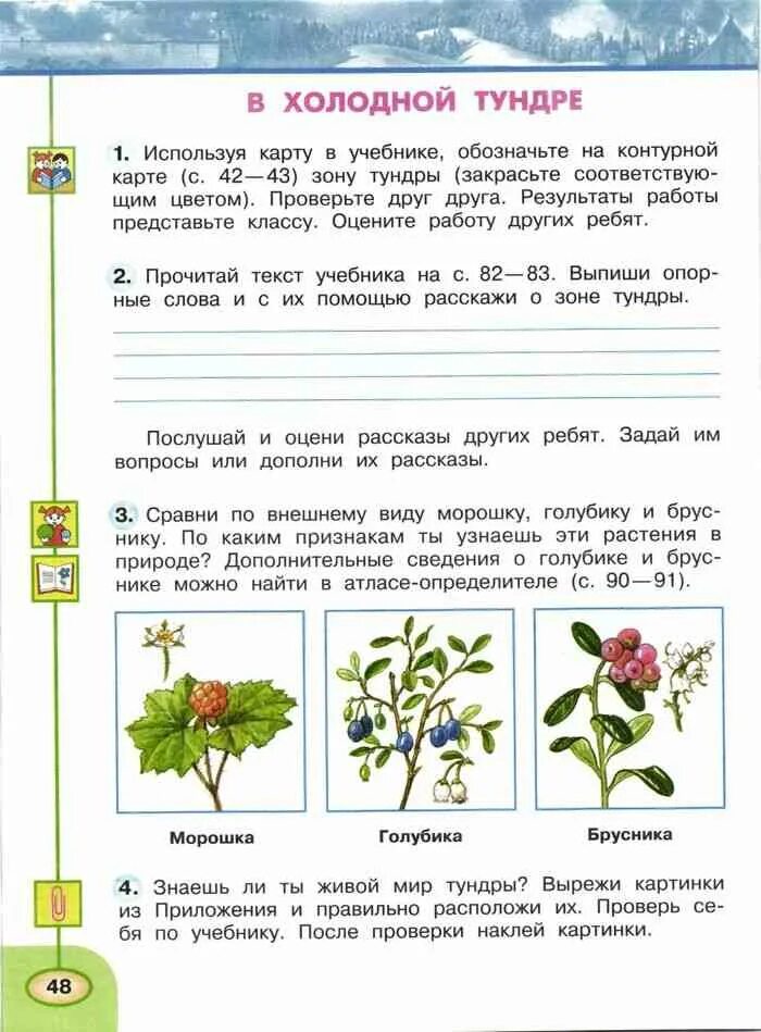 Тетради окружающий мир 4 5 лет. Тетради окружающий мир 4 5 лет