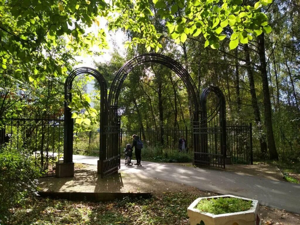 Алешкинский парк Тушино. Алешкинский лесопарк Химки. Москва Алешкинский лес. Природно исторический парк Тушино.