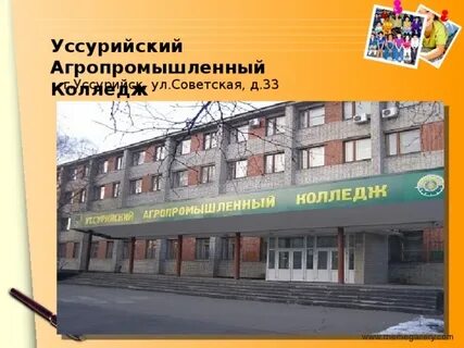 Сайт колледжа г уссурийск
