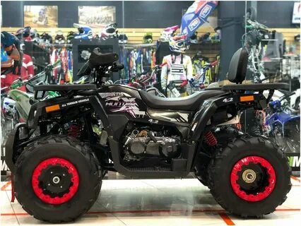 Avantis 200 big lux