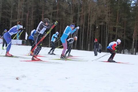 Русятка вязьма