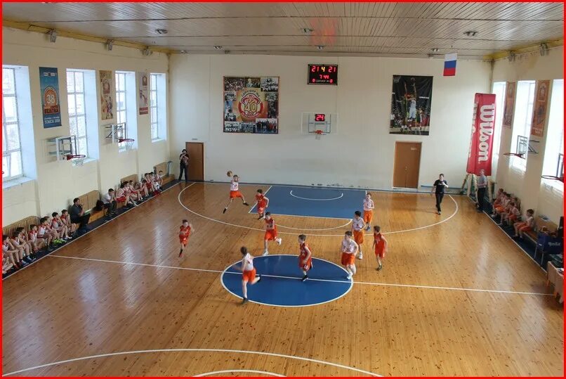 Спортивная школа 6. Стерх эмблема. Сдюсшор 6 томск. Дюсш 6 ростов-на-дону. Спорт школа 6.