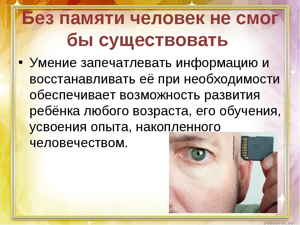 Память и история противодействующие феномены. Память и история противодействующие феномены