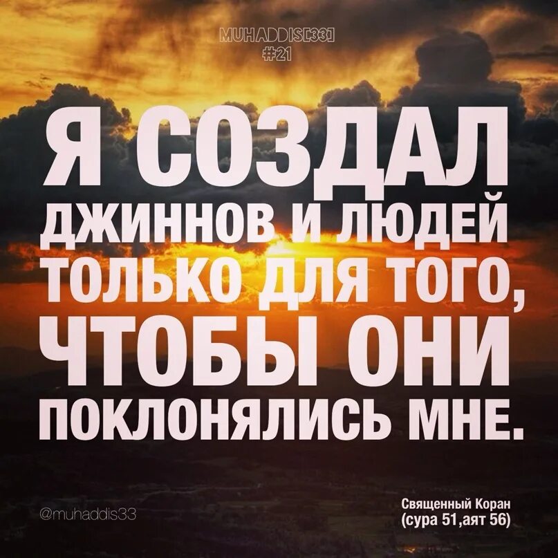 Цитаты из корана с переводом. Аяты из корана. ислам аяты. аллах создал людей и джинов для поклонения. мудрые цитаты из корана.