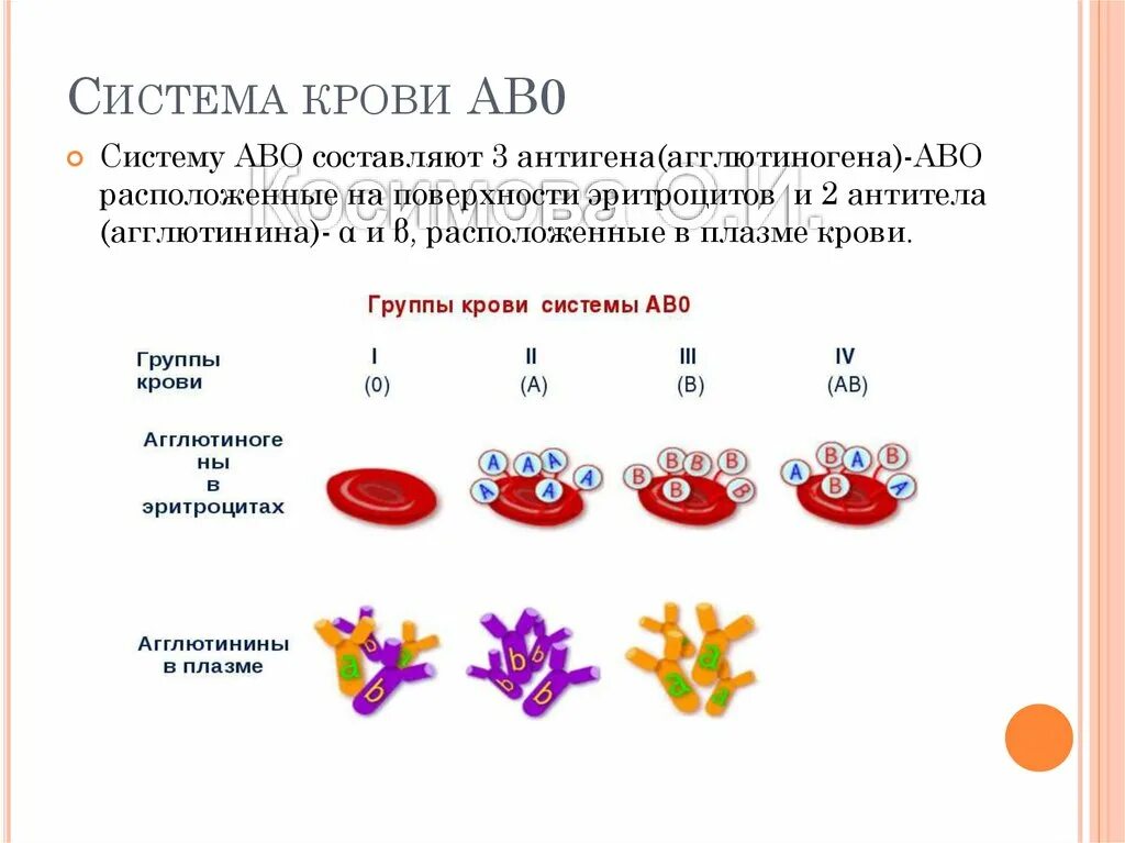 0 резус фактор крови