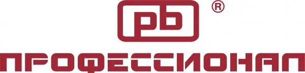 общество с ограниченной ответственностью профессионал. ооо профессионал пермь. ооо профессионал екатеринбург. общество с ограниченной ответственностью профессионал. профессионалы логотип.
