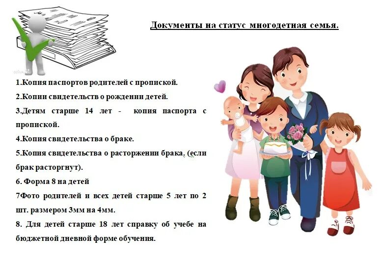 Статус многодетной семьи установлен