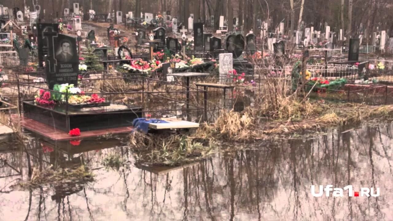 Кладбище погибших на украине. Санкт-петербург волхонское шоссе южное кладбище. Могила на кладбище. Южное кладбище похоронить. Южное кладбище, санкт-петербург, волхонское шоссе, 1б.