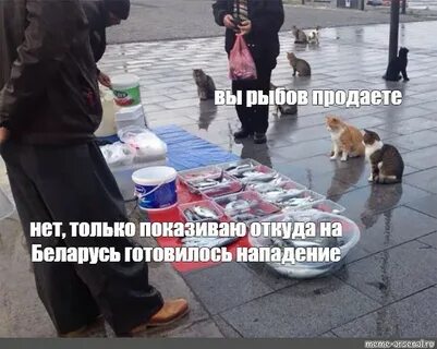 Готовится напасть