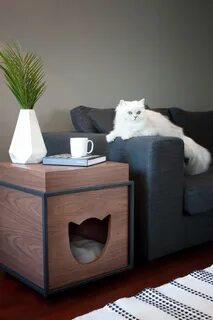 Кошкина мебель