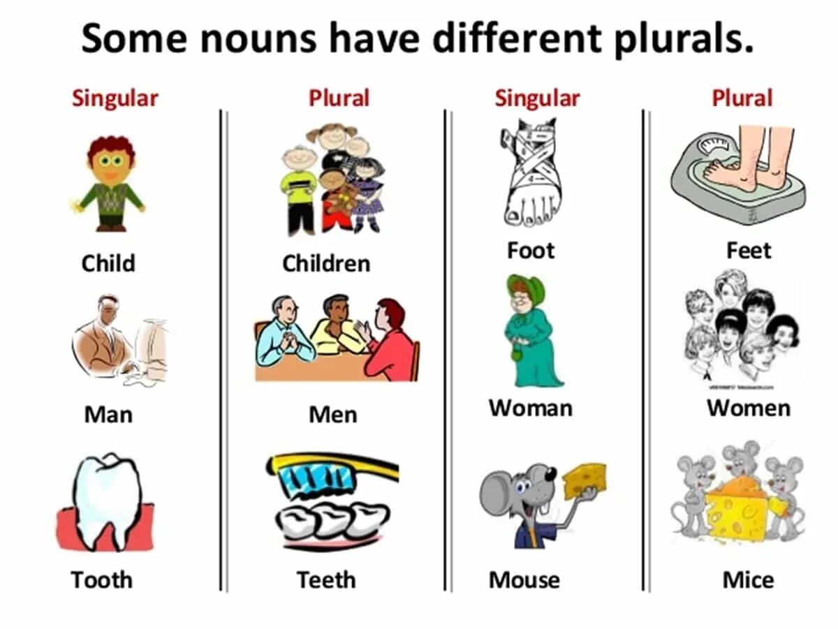 Singular and plural Nouns в английском. Singular and plural Nouns исключения. Singular and plural Nouns Irregular. Singular and plural Nouns правила. Different noun