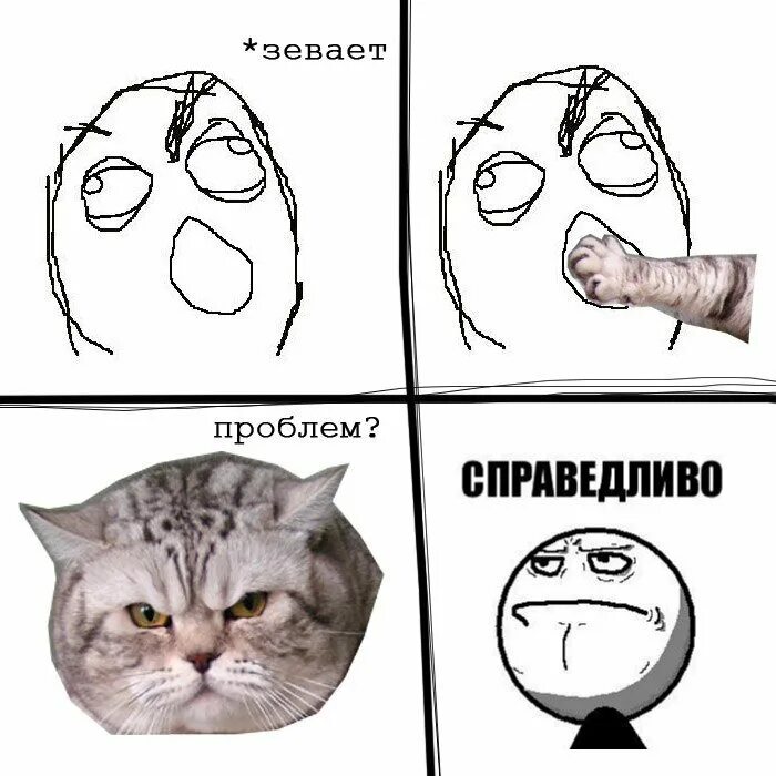 Мемы про котов. Мемы с котом. Мемы про котиков. Котики смешные мемы. Смешные мемы про котов.