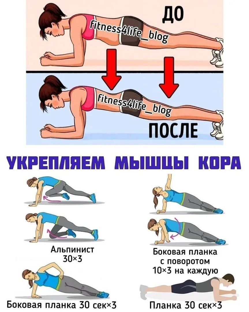 Программы укрепления мышц. Программы укрепления мышц