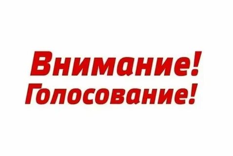 Голосование важно