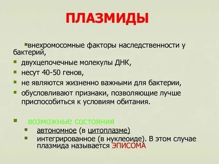 Свойства плазмиды бактерий