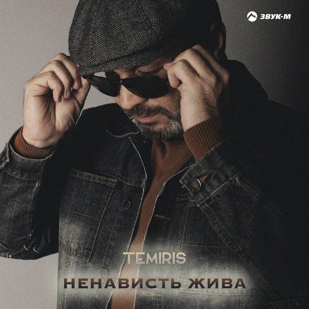 Temiris. Темириз певец. Temiris биография. Ненависть трек.