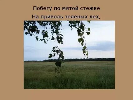 На приволь зеленых лех