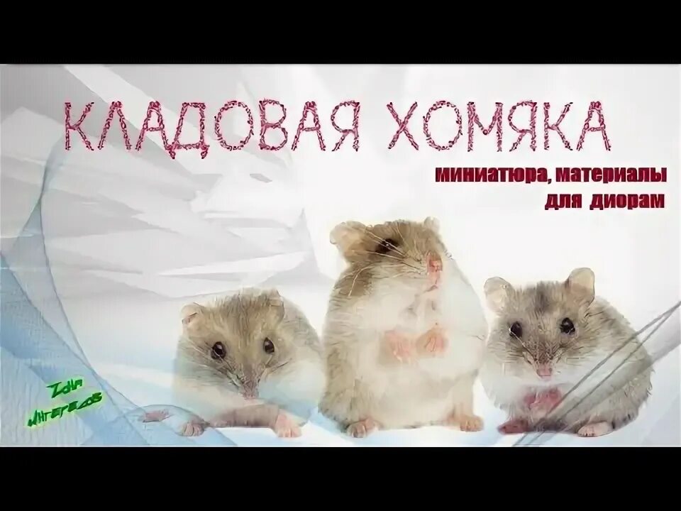 Какие карты в хомяке 7 июля