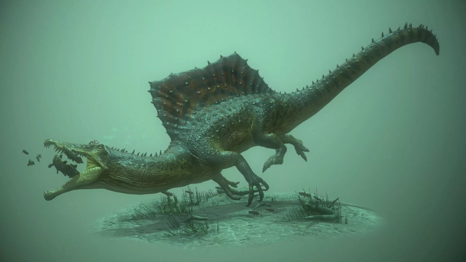 Динозавр живущий в воде. Спинозавр aegyptiacus. Spinosaurus maroccanus. Теропод Спинозавр. Полуводный Спинозавр.