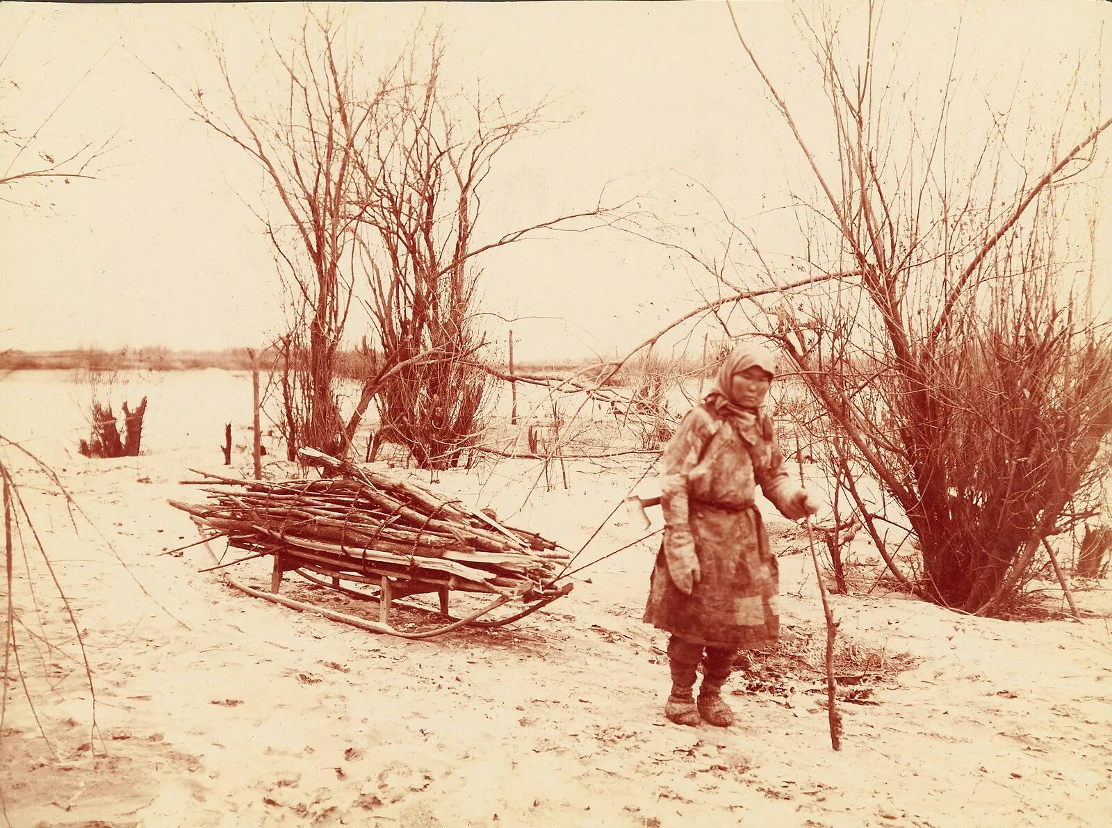 Оседлый бандит. Сани с хворостом. Фотосессия с хворостом. Собиратели хвороста на снегу. Мальчик на санях с хворостом.