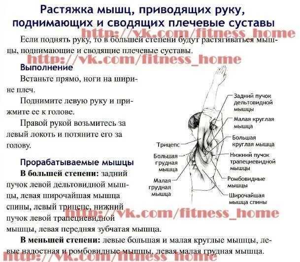 Болят плечевые суставы причины. Боль в руке в плечевом суставе. боль в плечевом суставе левой. плечевой сустав боль при поднятии руки. боль в предплечье причины.