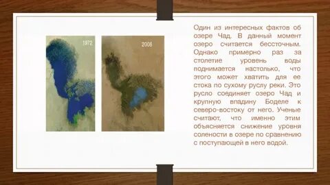 Какие реки впадают в озеро чад