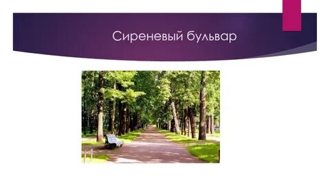 Презентация бульвары