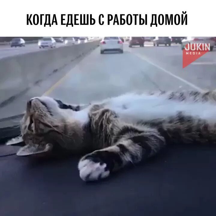 Утром на работу ехал. Еду домой с работы. Еду на работу прикол. Еду домой после работы. Картинки еду домой с работы.