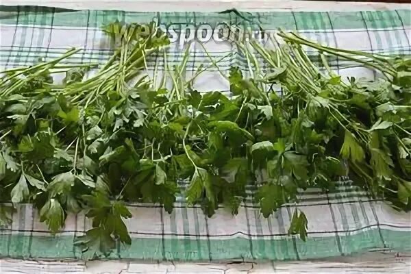 Как засушить зелень