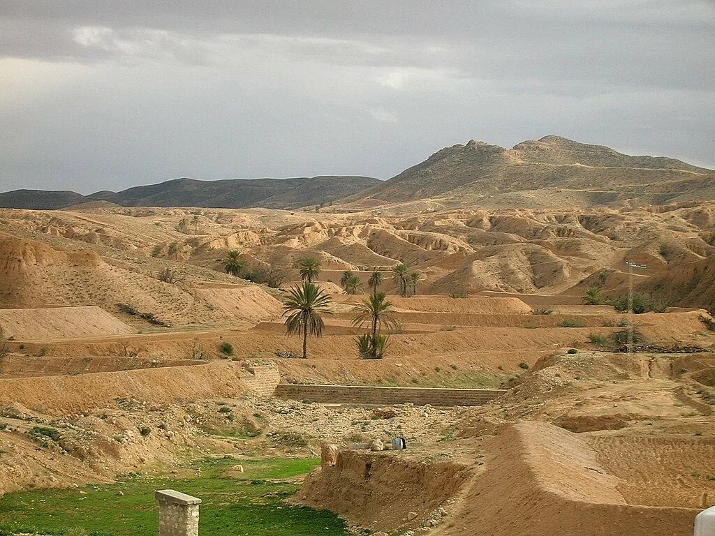 Тунис природный рельеф. Тунис горы атлас. Атласские горы тунис пустыня. Кебили тунис. Тунис оазис шебека.