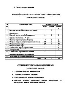 Программа по настольному теннису для дополнительного образования