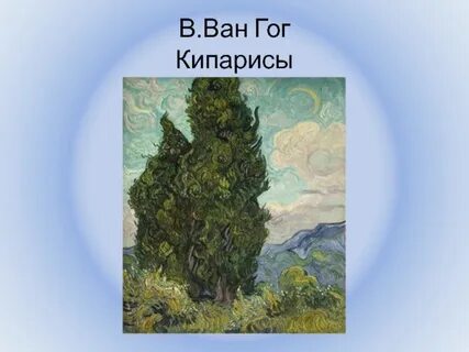 Кипарисы ван