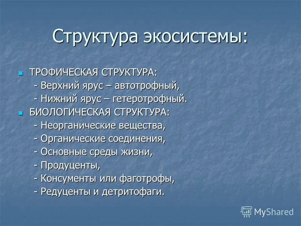 биологическая иерархия